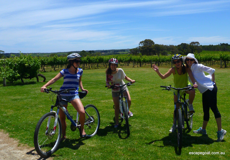 Mclaren Vale Bike And Wine Tour