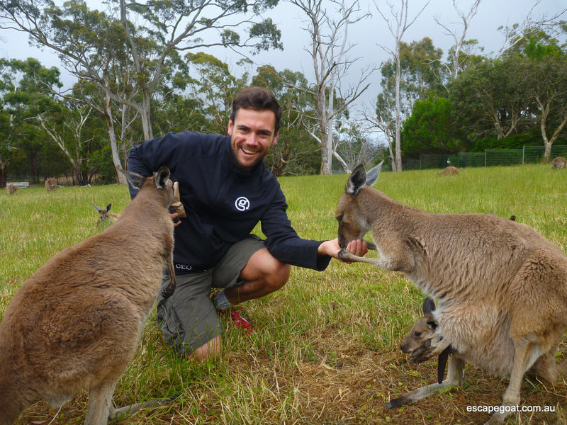 Lofty Descents By Bike