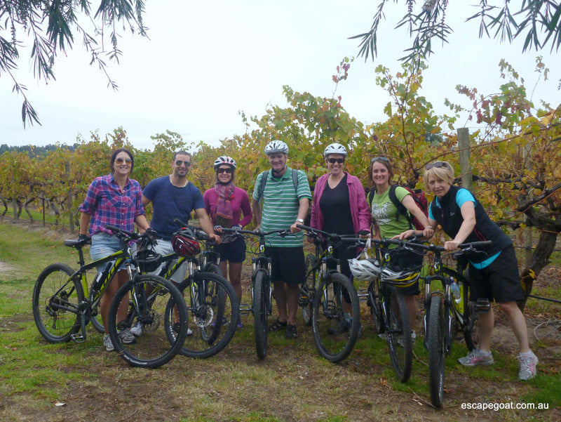 Mclaren Vale Bike And Wine Tour