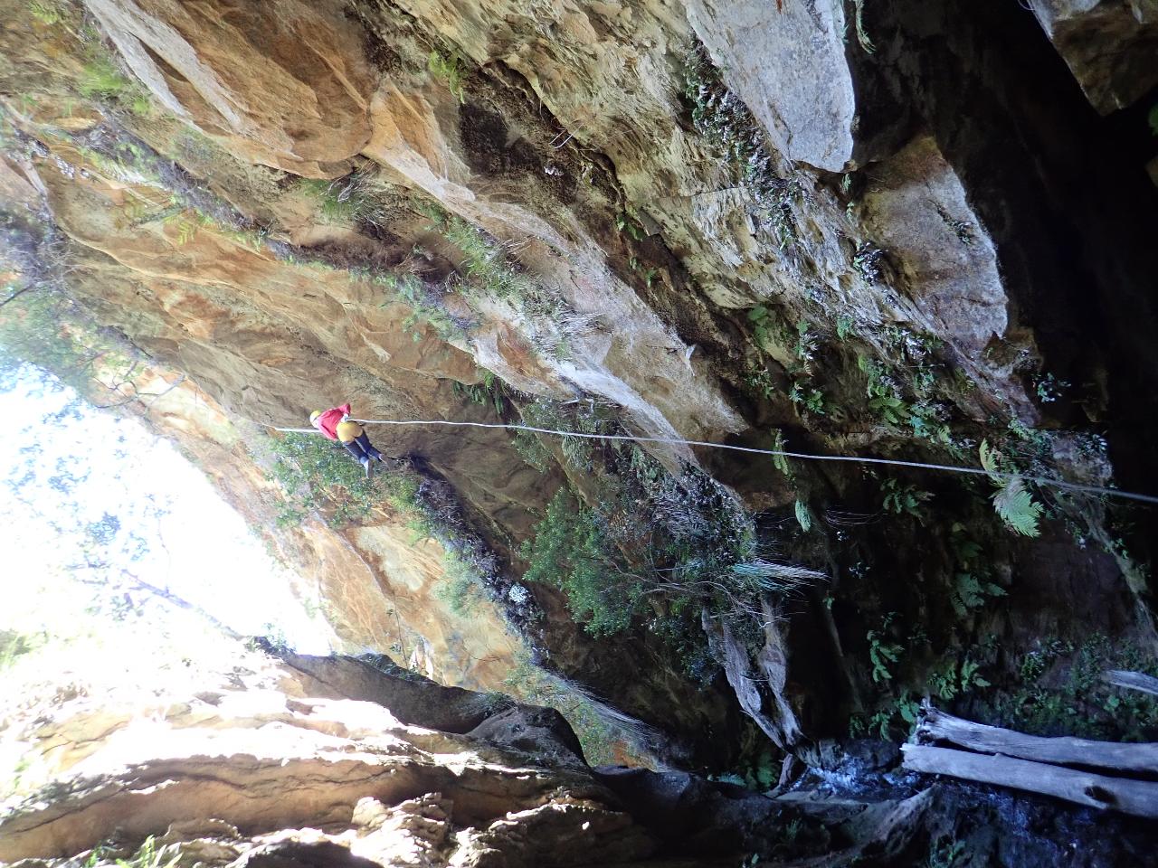 Whungee Whengee Canyon - Blue Mountains