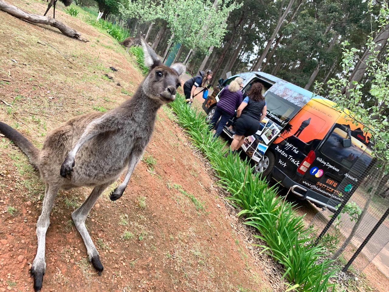 Bibbulmun Multi-Day Hike - Balingup - Donnelly River