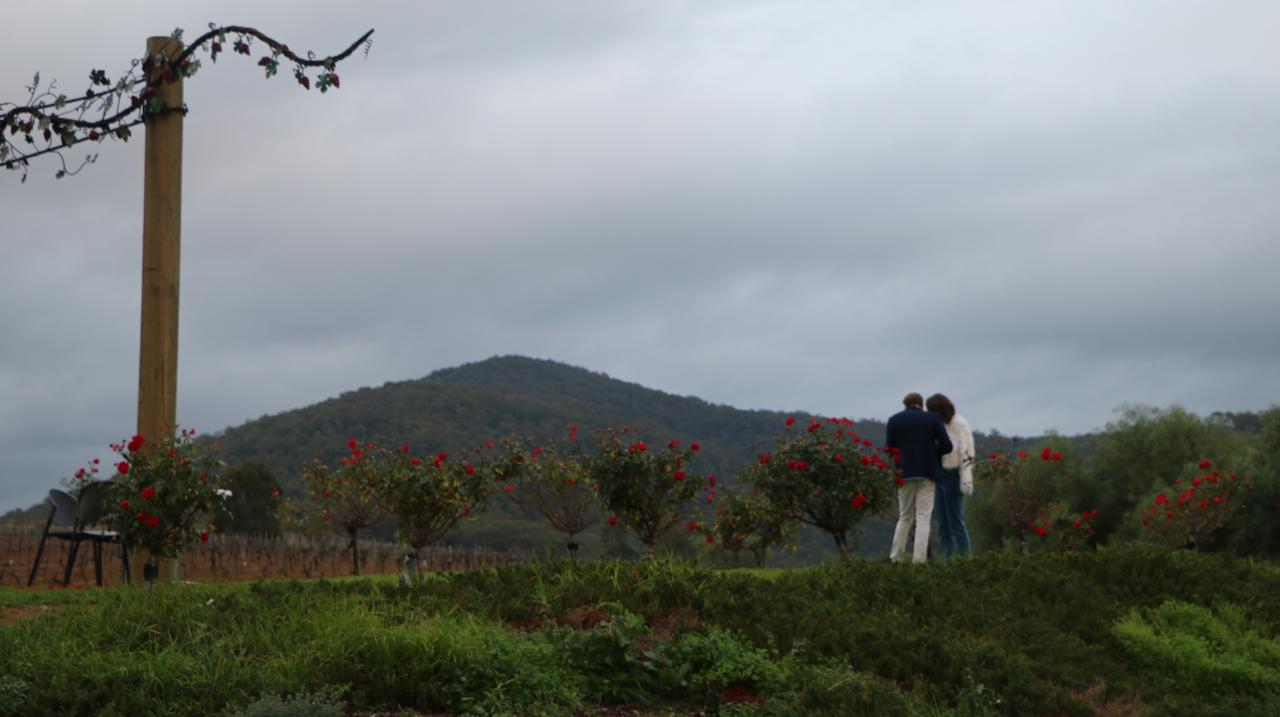 Private Boutique Hunter Valley Winery Tour Full Day 4-7 People Includes Delicious Lunch