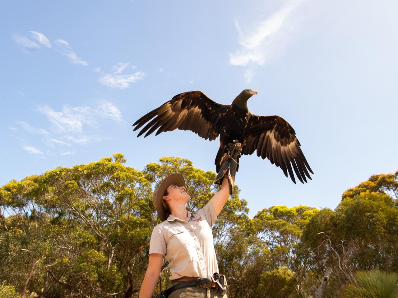 Private Coach - Kangaroo Island Iconic Sights And Wildlife 24 Seater