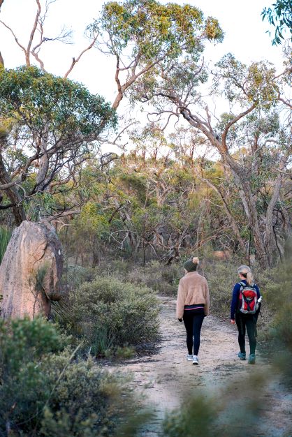 Nature Therapy Walk For 2