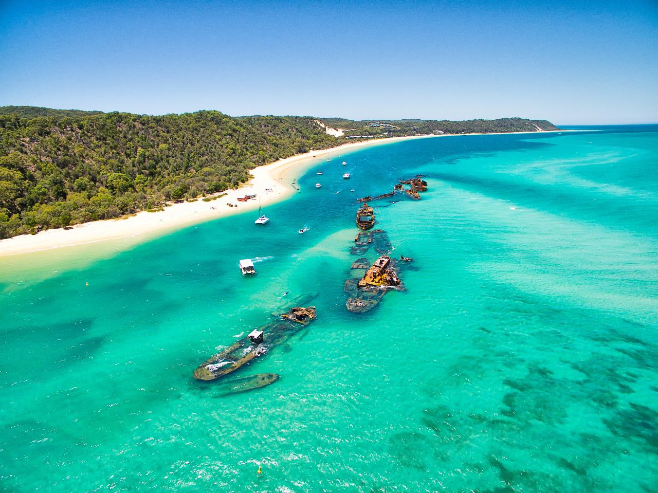 Tangalooma Wrecks Snorkeling -Diving