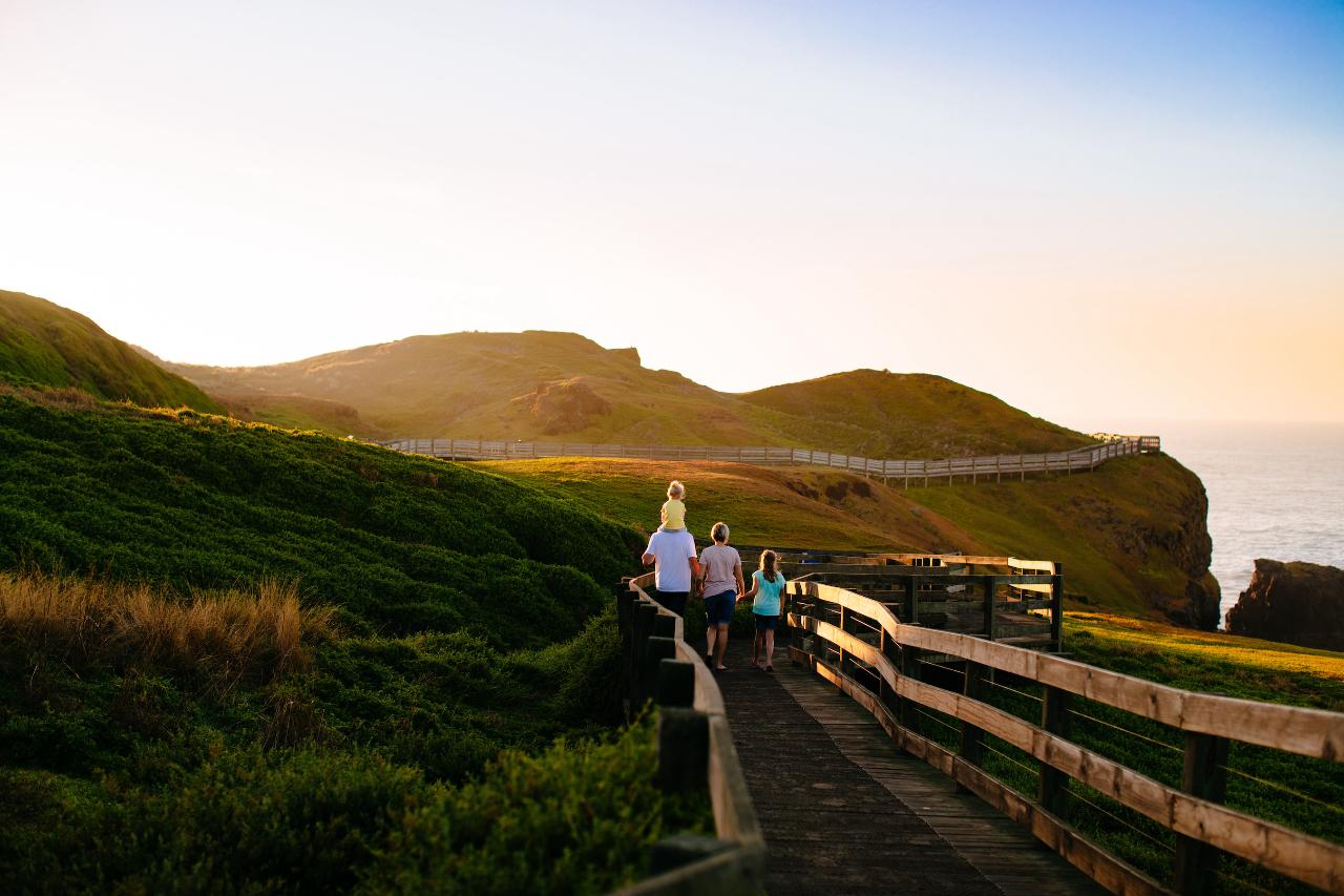French Island & Phillip Island Wildlife Expedition