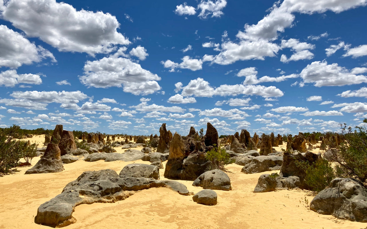 Whale Shark Overland Tour