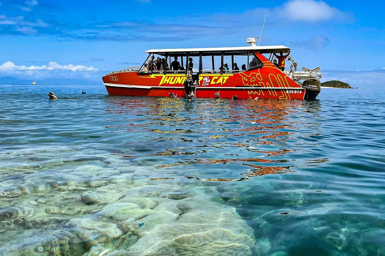 Combo 2 - Airlie Adventure & Thundercat Day Tour