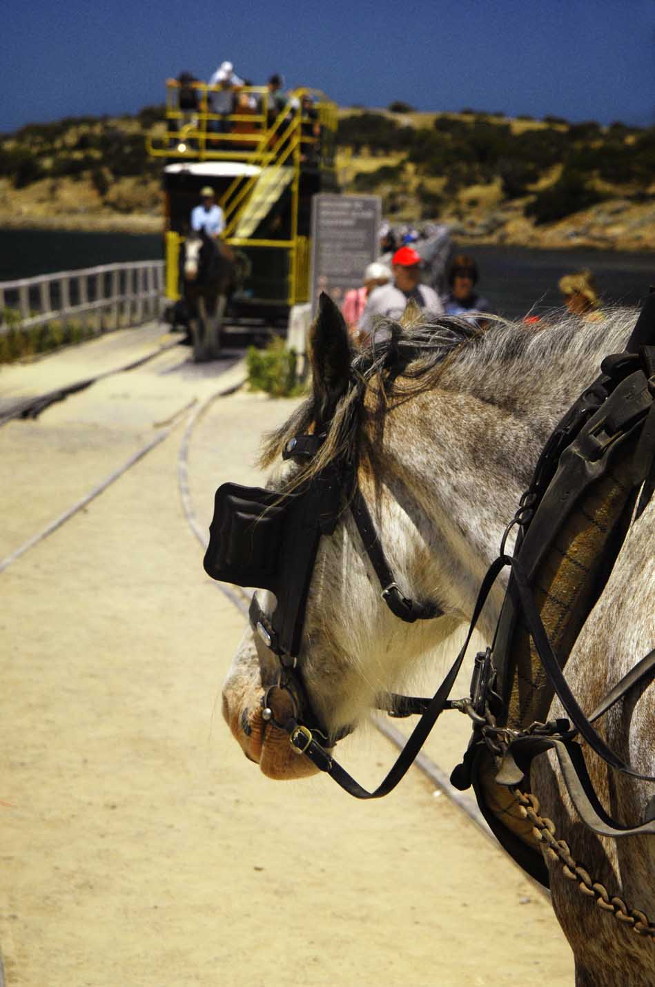 Victor Harbor, Goolwa & Mouth Of The Murray