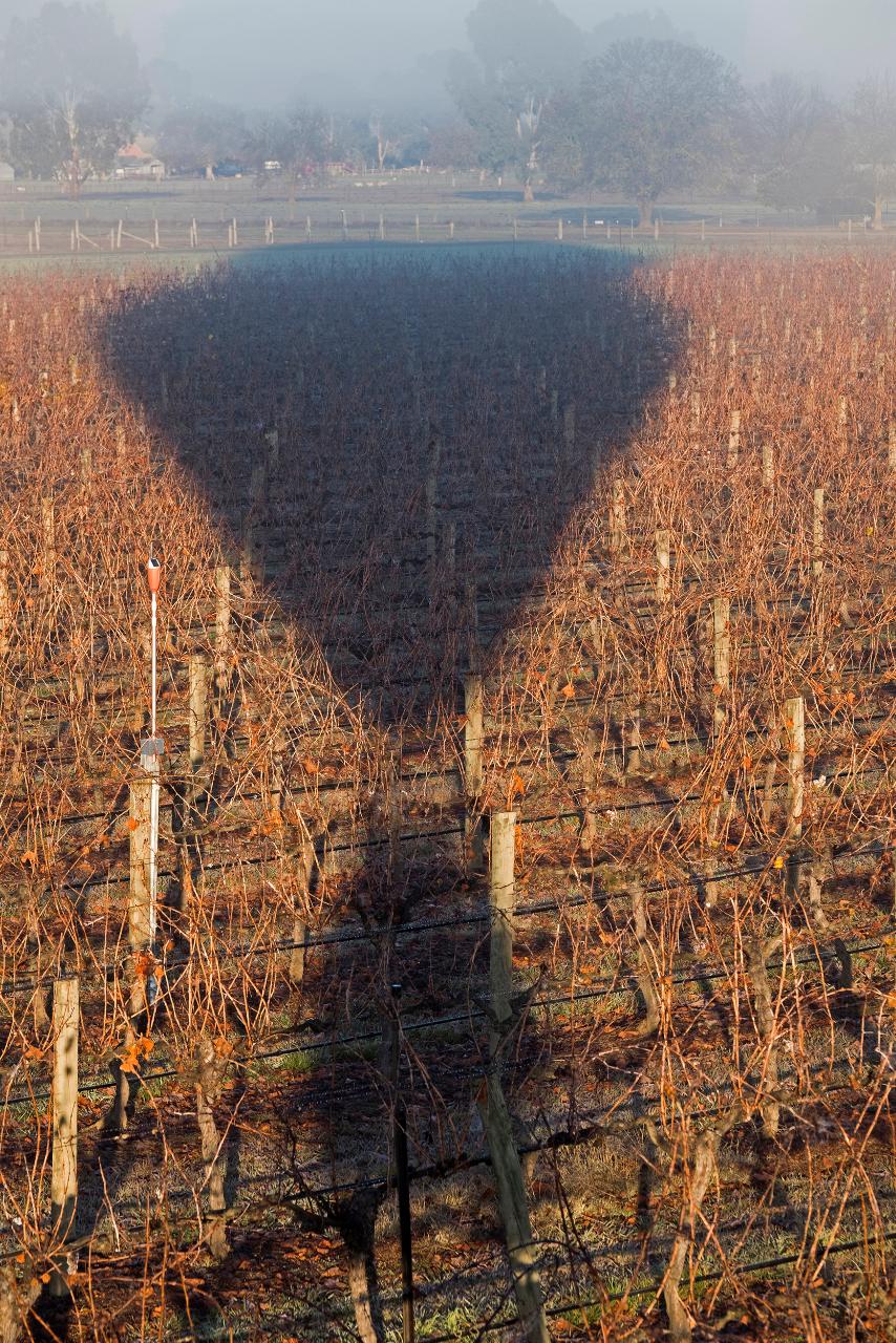 King Valley Balloon Flight