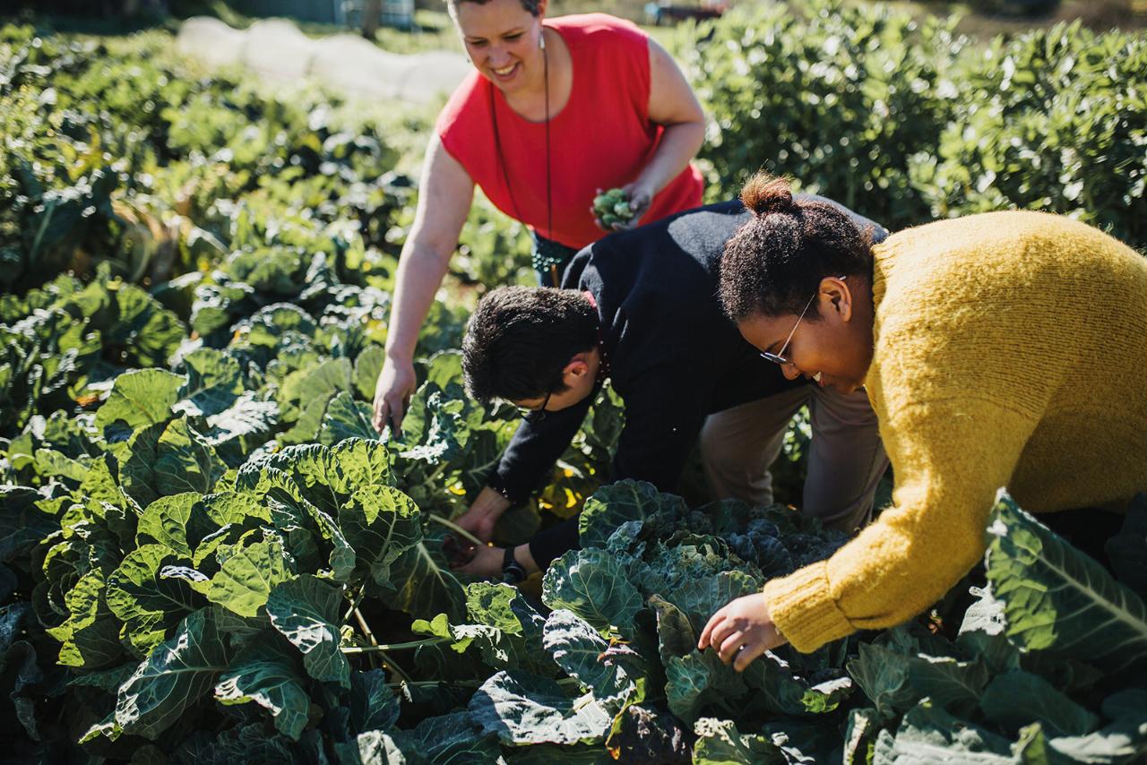 Cooking Masterclass - A Feast For The Senses