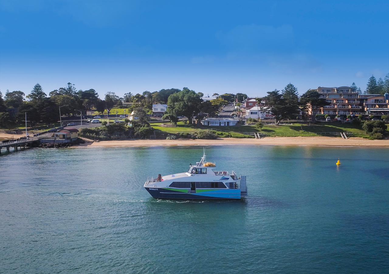 French Island & Phillip Island Wildlife Expedition