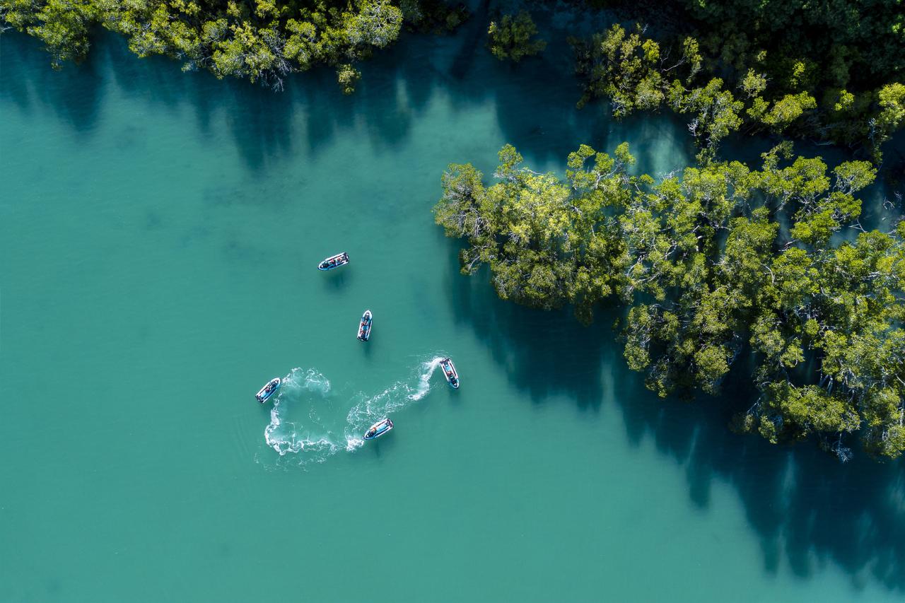 Airlie Adventure Jetski Tour