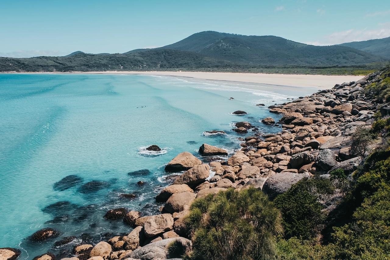 Experience Wilsons Promontory On A Full Day Tour