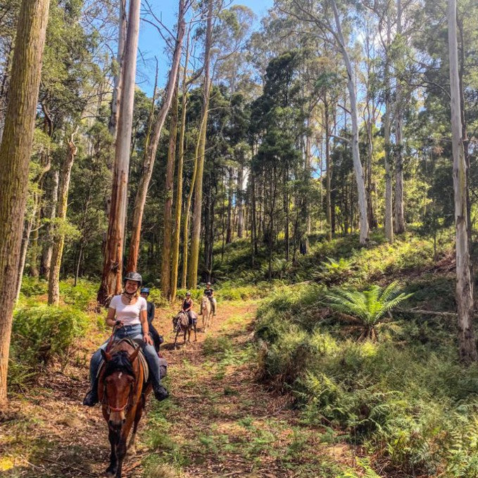 Horse Riding In The Heart Of Cradle Country