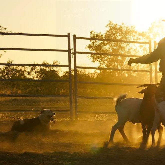 Australian Outback Show And Dinner