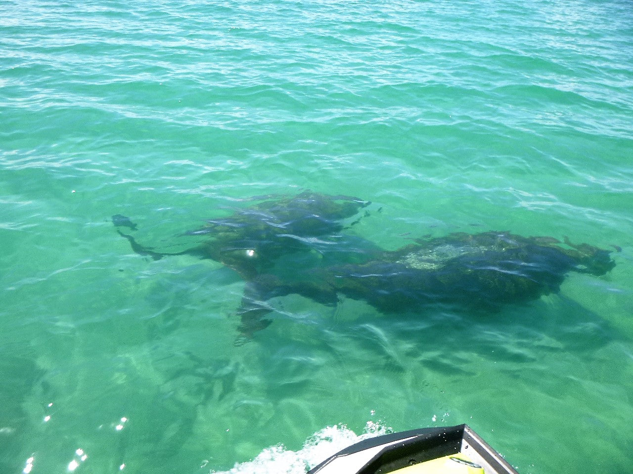 Fraser Coast Jetski Tours - Fraser Explorer - 2.5 Hour Jetski Tour