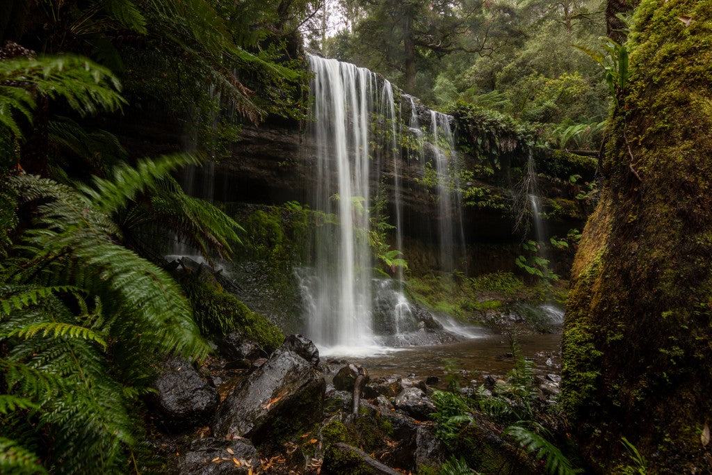 Wilderness And Whiskey: 3-Day Adventure