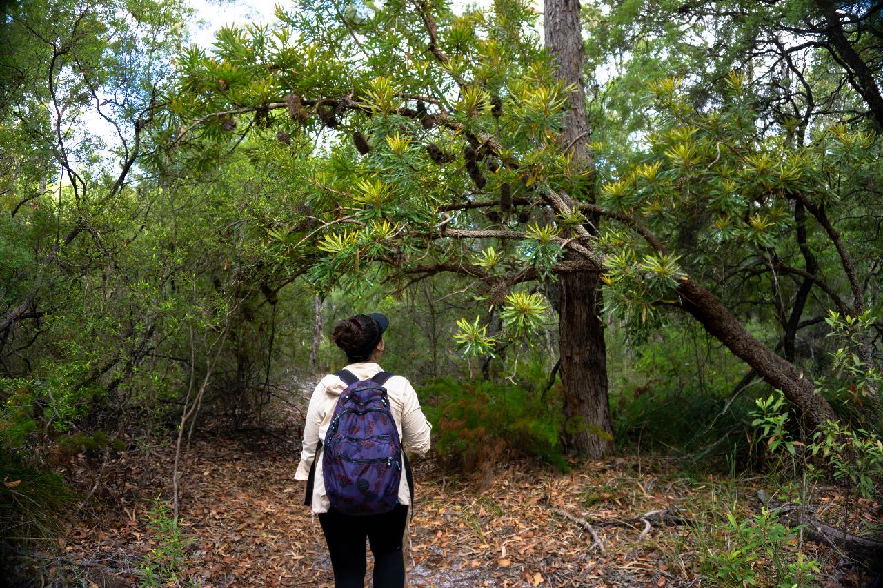 Pack-Free Camping: Lake Mckenzie Eco Walk - 2 Days