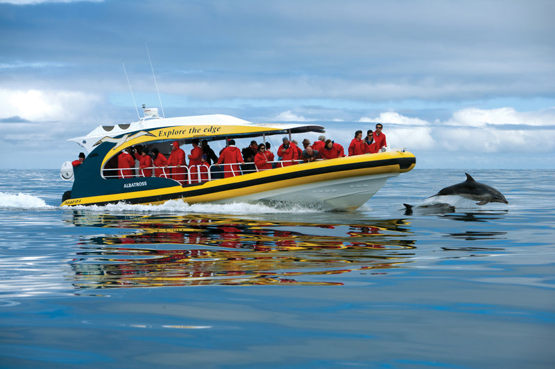 Tasman Island Cruises Full Day Tour From Hobart