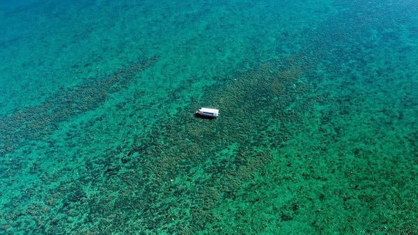 Turtle Discovery Eco Tour