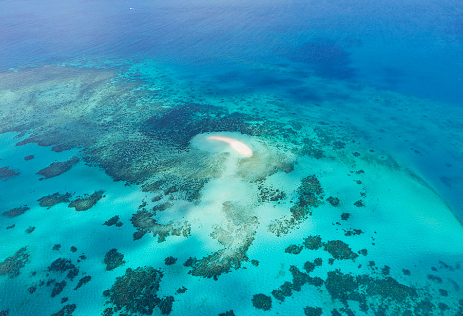 Outer Reef Odyssey