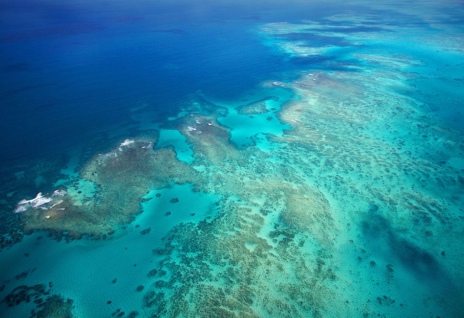 Outer Reef Odyssey