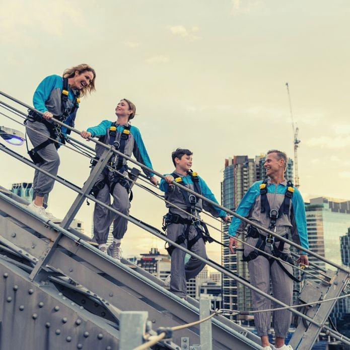 Story Bridge Day Climb