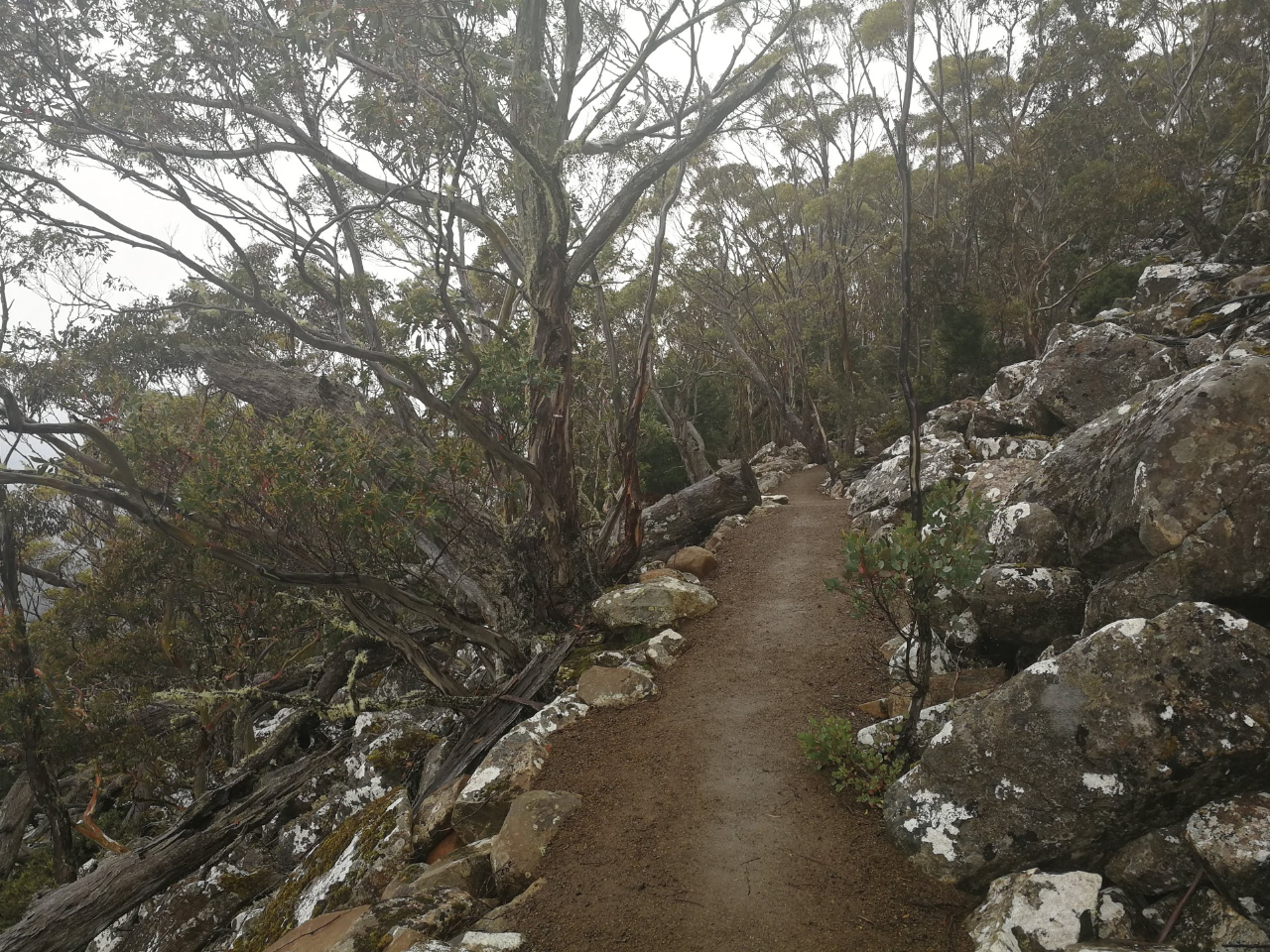 Wild Wellness Fire And Ice Walk