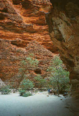 Kimberley Kununurra To Broome Lake Argyle Mitchell Falls Accommodated 8 Day Tour