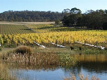 Richmond And Wine At The Weekend Tour