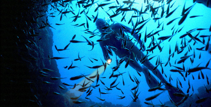 Scuba Diving Noosa Jew Shoal - Double Dive