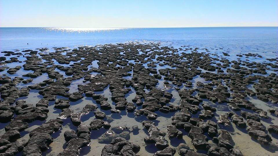 Perth To Exmouth One-Way Adventure