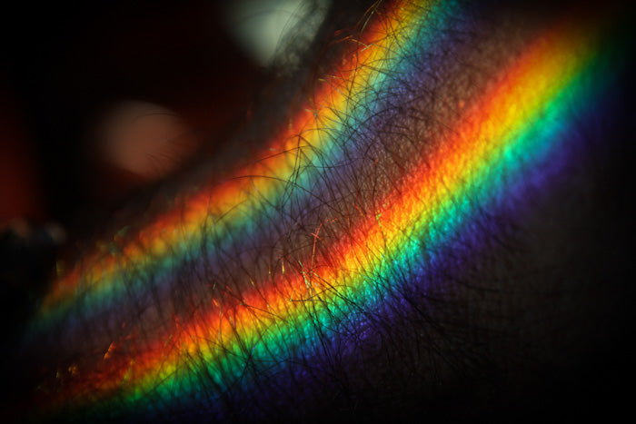 Digital Photography Course - 8 Week - Alexandria