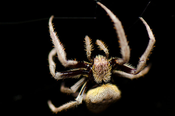 Digital Photography Course - 8 Week - Alexandria