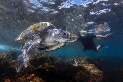 Discover Scuba Dive At Cook Island Marine Reserve