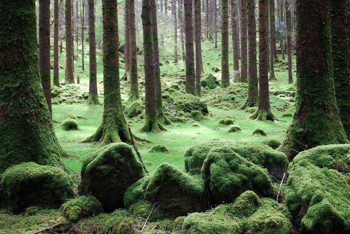 Digital Photography Course - 8 Week - Alexandria