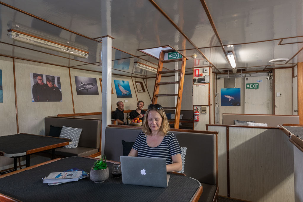 Great White Shark Expedition - 5 Nights