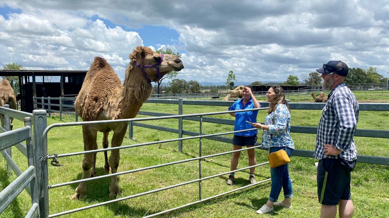 Scenic Rim Farm, Food & Wine Experience