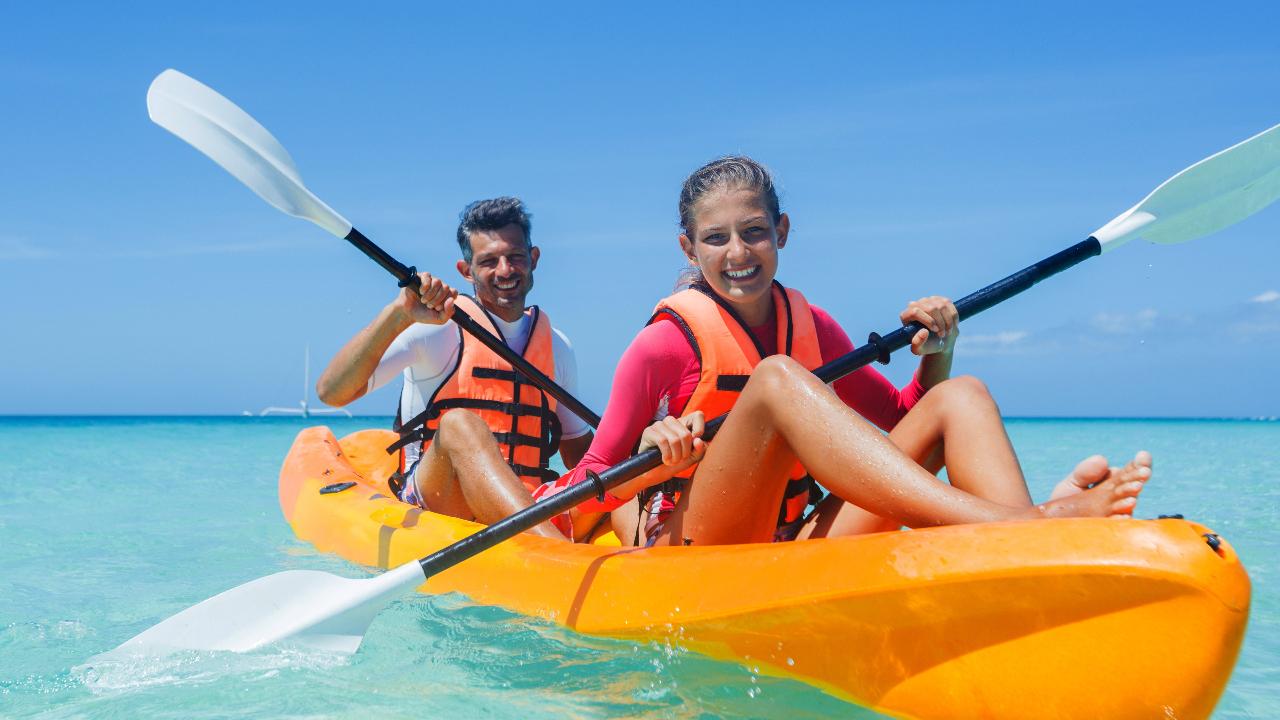 Dolphin & Tangalooma Wrecks Cruise For Family