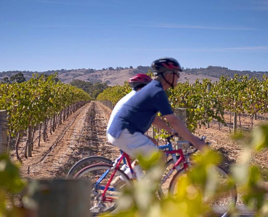 Margaret River Cycle & Wine Tour