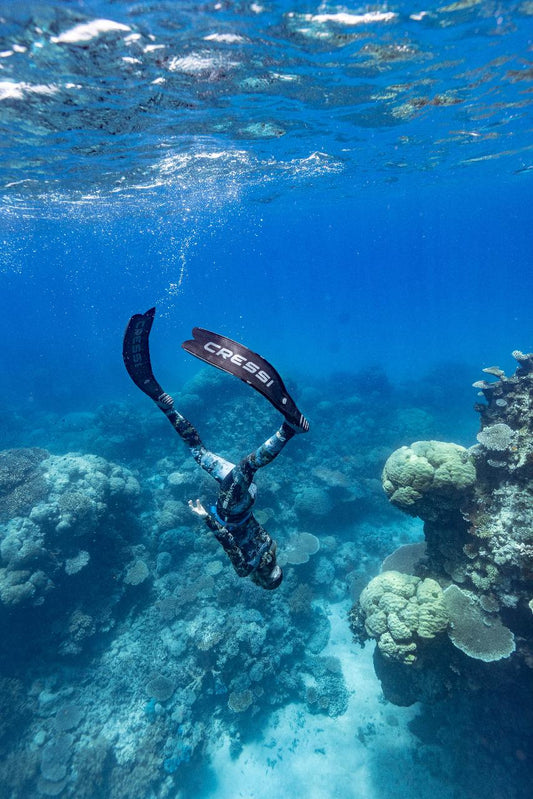 Freedive The Great Barrier Reef