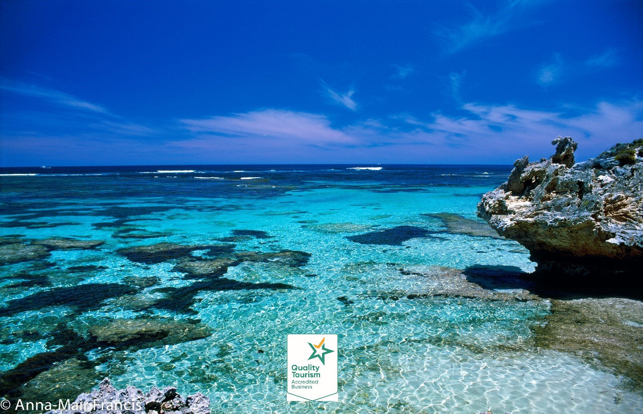 Rottnest Photographic Day Tour With Ferry