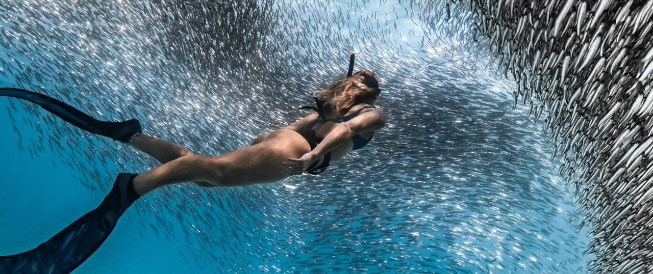 Humpback Whale Overland Tour