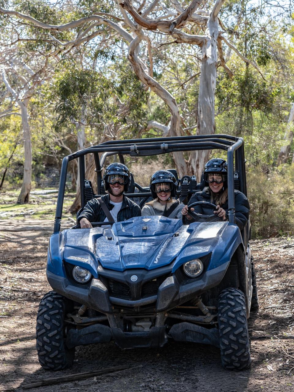 2-Hour Sand & Surf Buggy Adventure