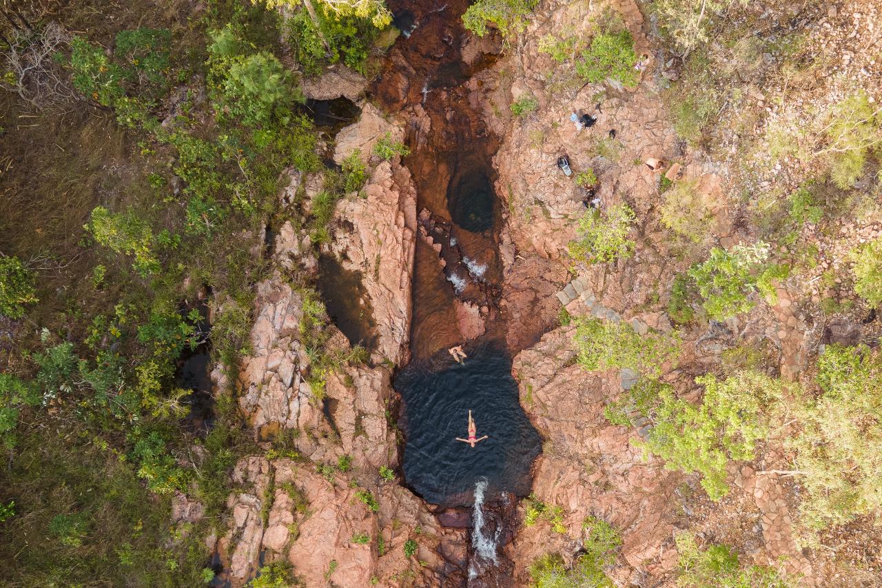 Autopia Tours: Litchfield National Park + Fogg Dam From Darwin