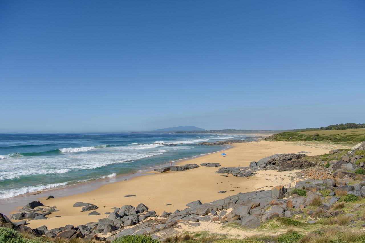 Welcome To Country - Bush Tucker & Bush Medicine Cultural Walk With Yuin Knowledge Holder