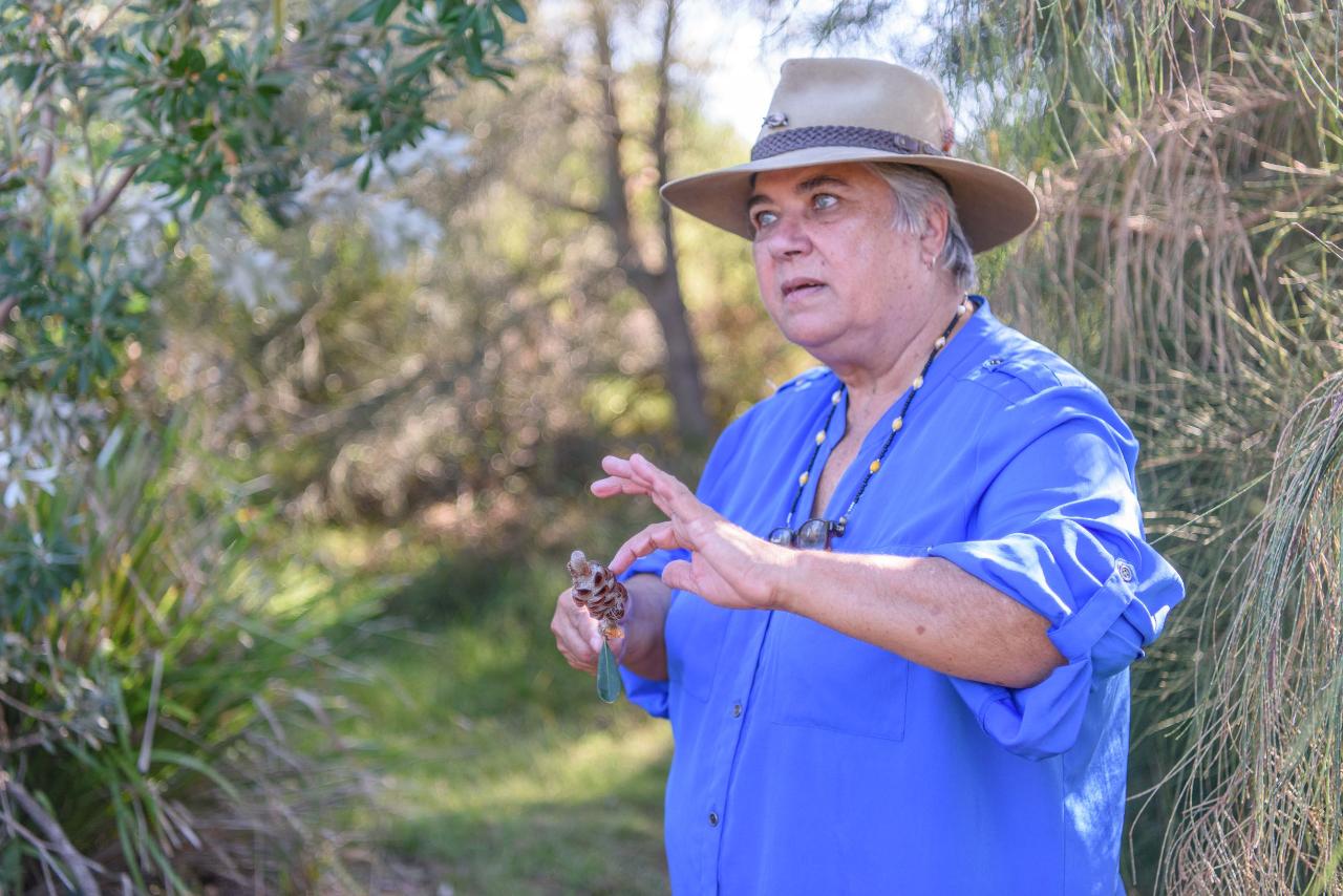 Welcome To Country - Bush Tucker & Bush Medicine Cultural Walk With Yuin Knowledge Holder