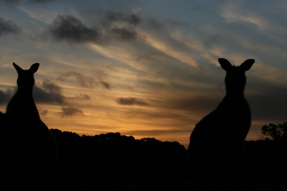 Sunset Nocturnal Adventure Tour