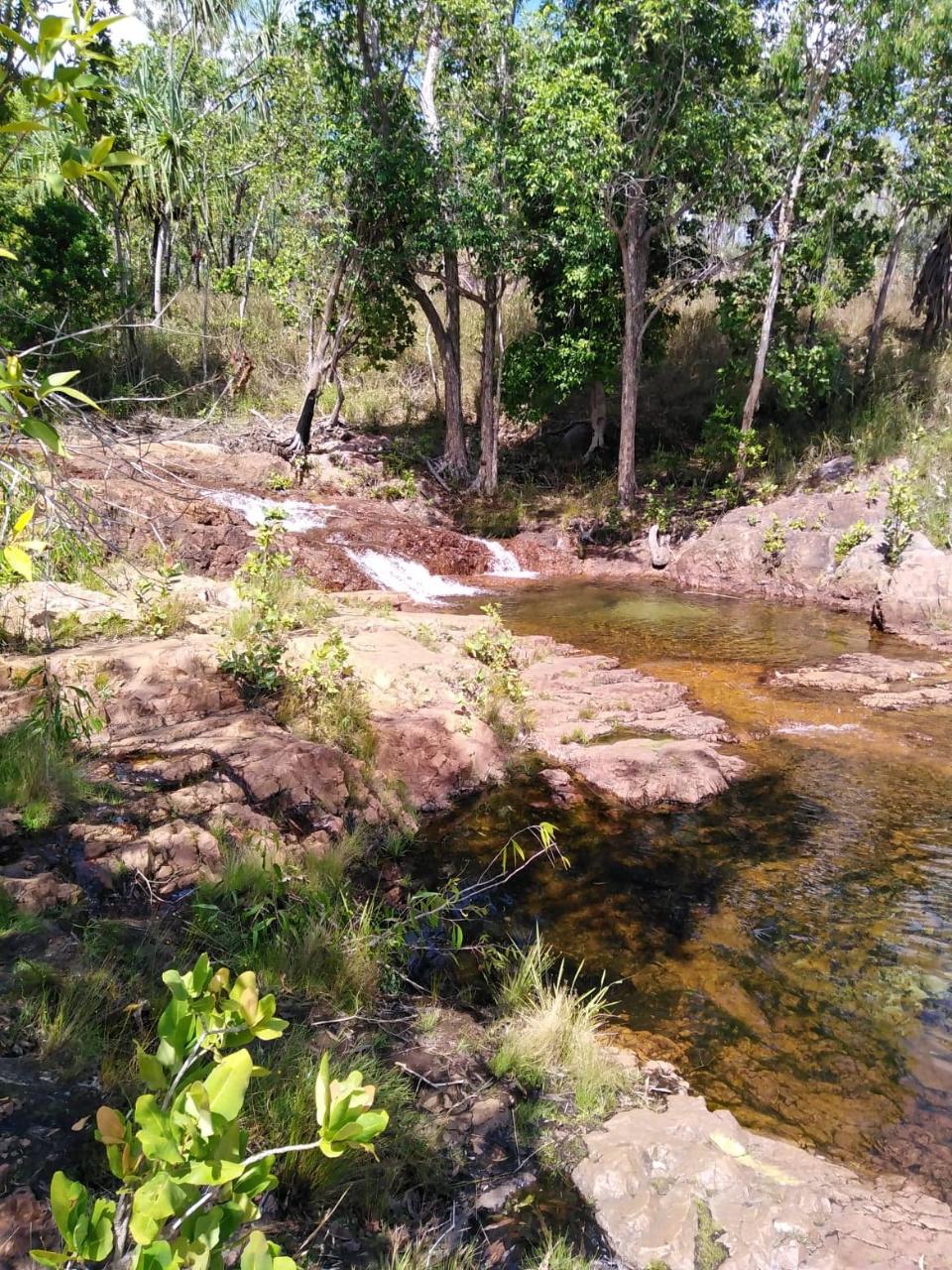 Litchfield Park Adventures With Jumping Crocodile Cruise